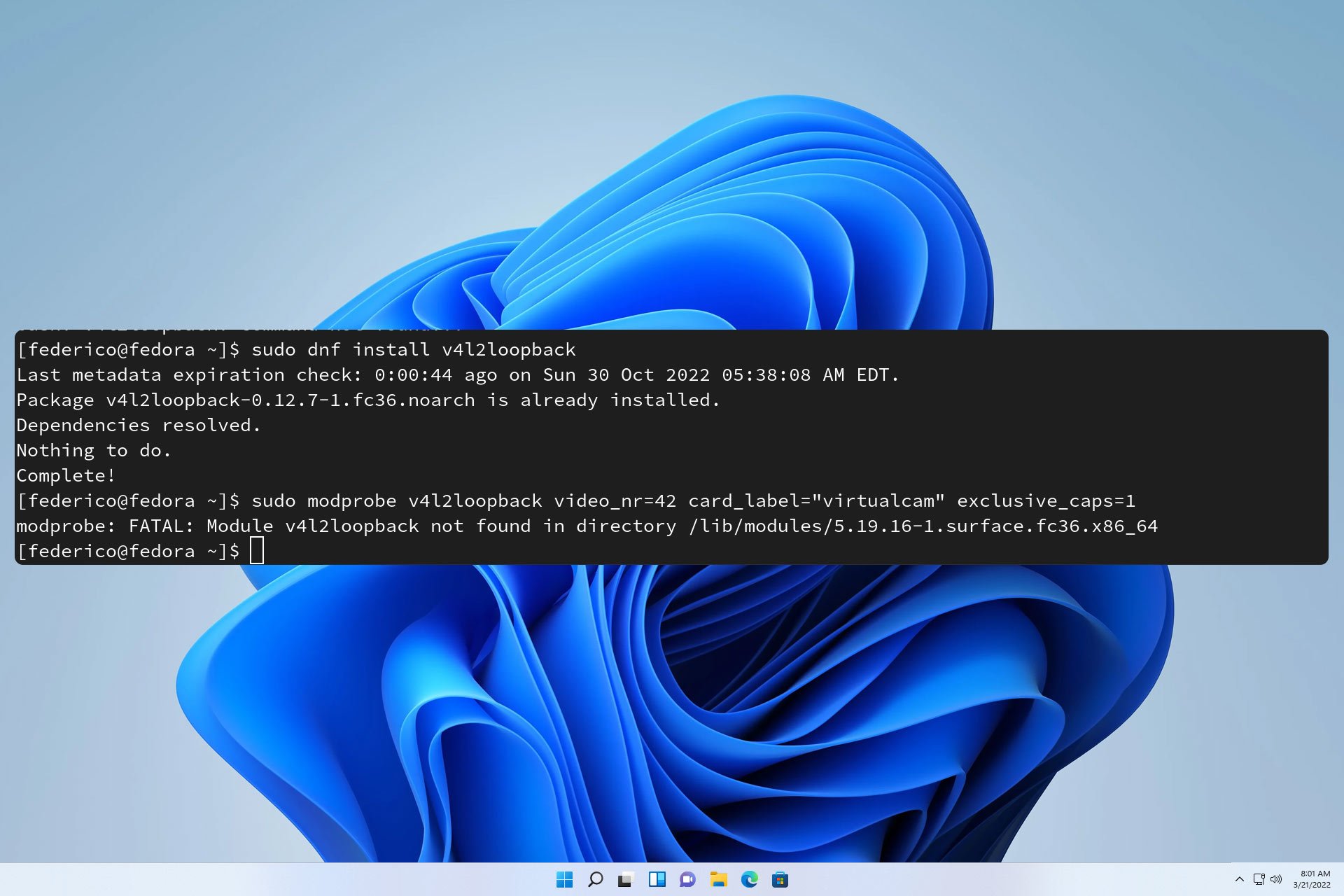 fatal module v4l2loopback not found in directory
